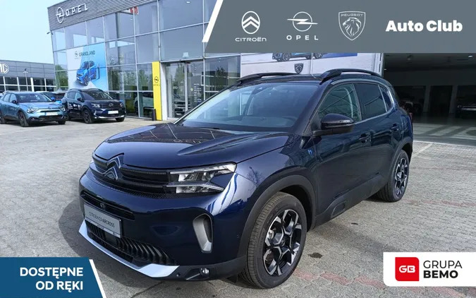 wielkopolskie Citroen C5 Aircross cena 172000 przebieg: 5, rok produkcji 2023 z Ostrzeszów